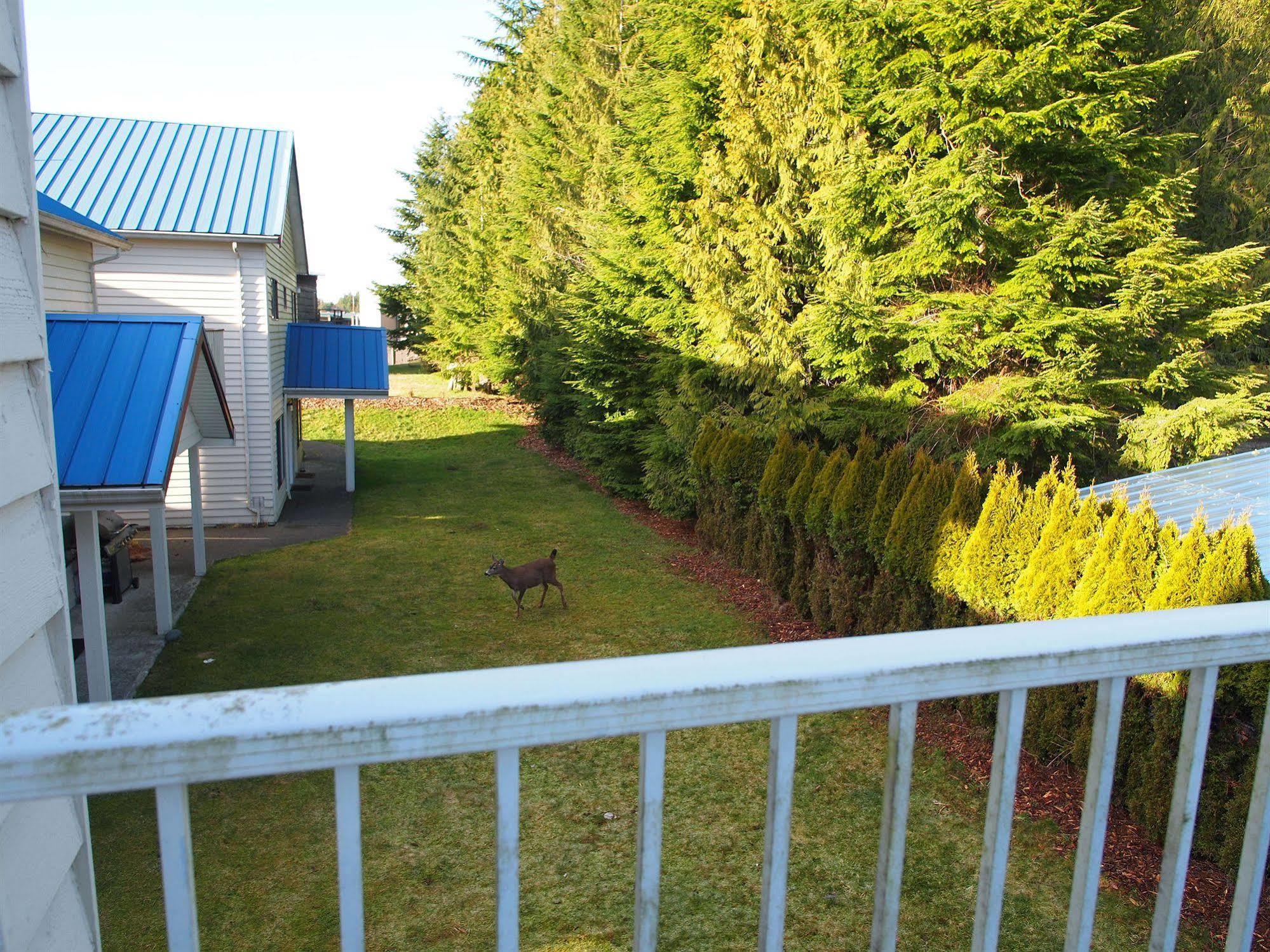 Whale'S Tail Guest Suites Ucluelet Buitenkant foto